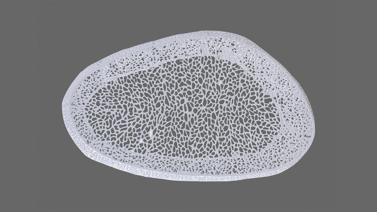 T3601-50 Oval Coffee Table White - Modern Home & Kitchen