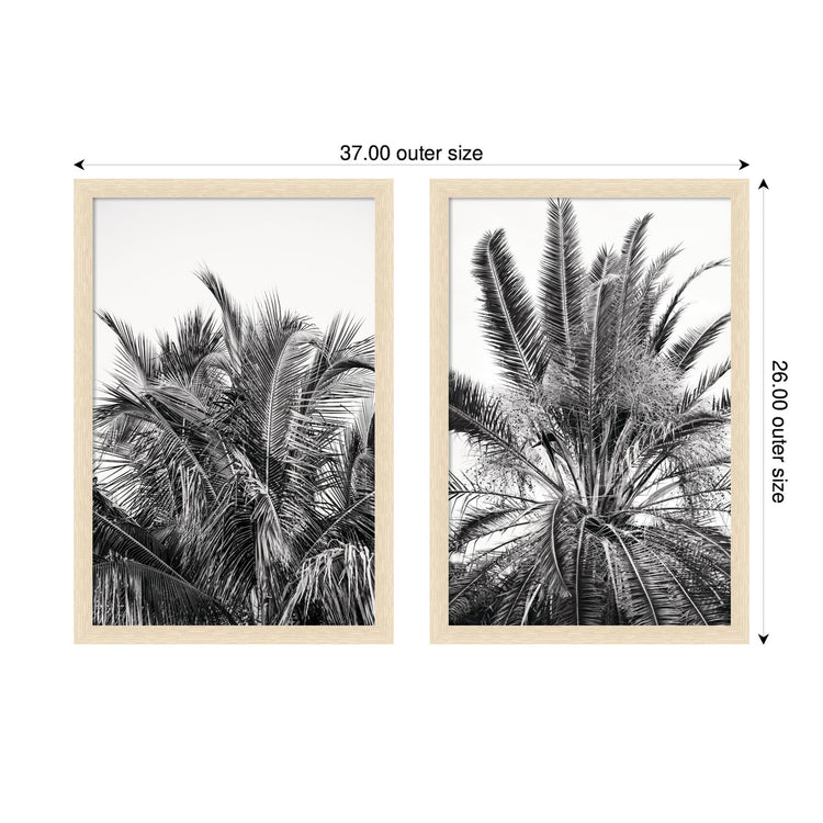 Two framed wall art pieces from the Alicia Bock Palm 2-Piece Wall Art Set by kateandlaurel, featuring botanical palm designs.