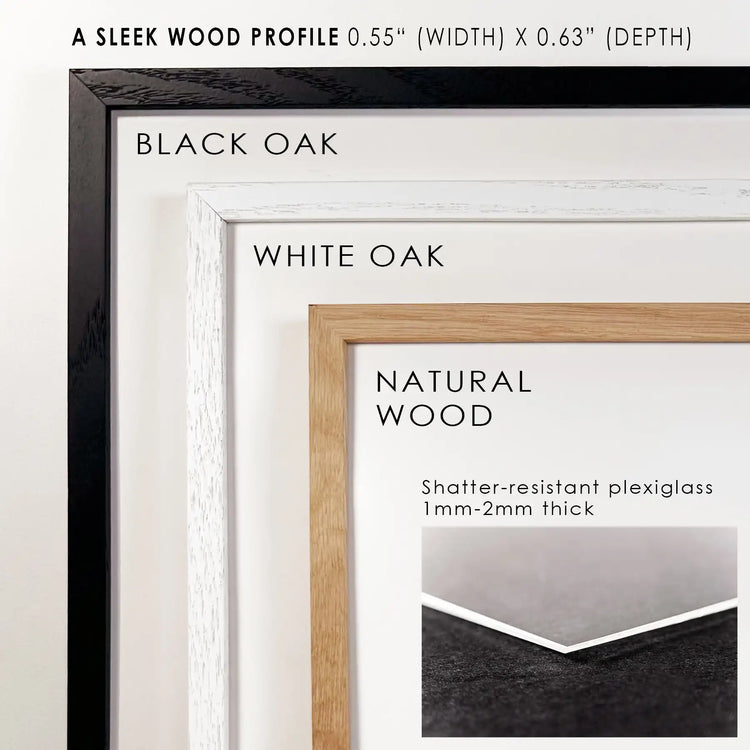 Set of 8 minimalist herb botanical prints by Print Sets, featuring floral art decor in stylish frame profiles.