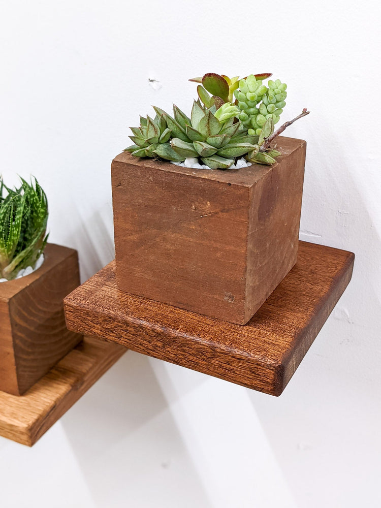 Small Square Display Shelf in Oak