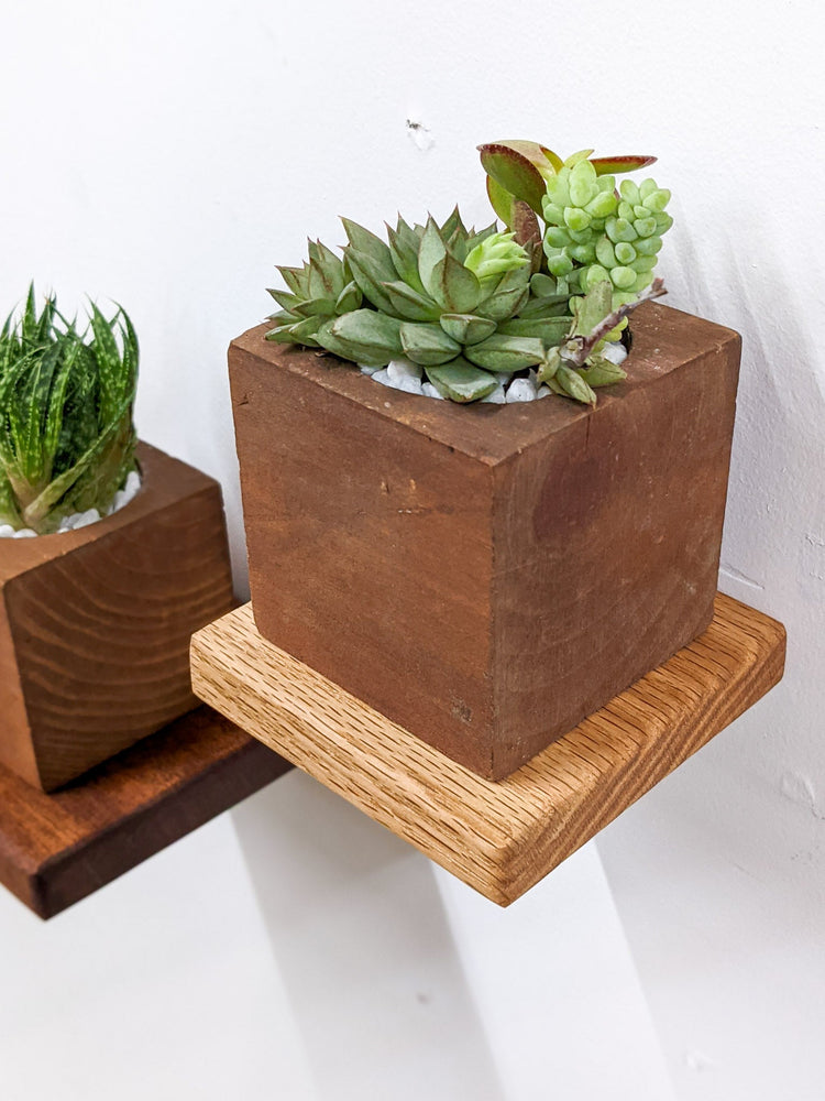 Small Floating Shelf Set