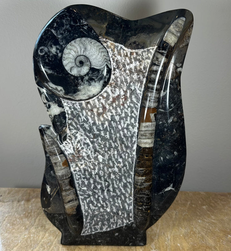 Ammonite Fossils in Matrix Sculpture