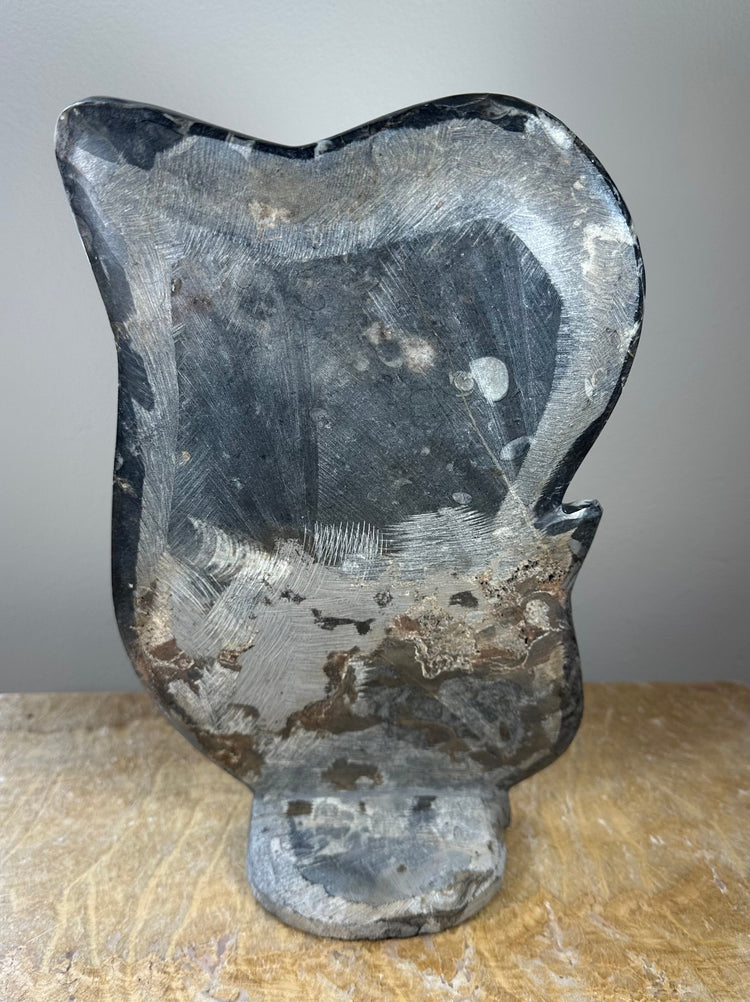 Ammonite Fossils in Matrix Sculpture