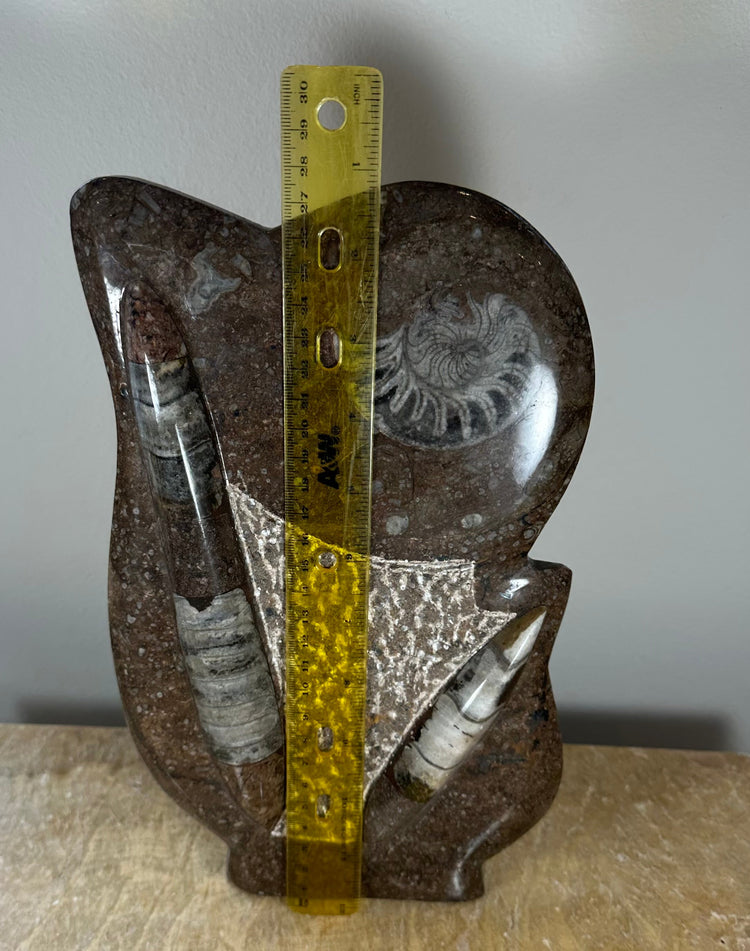 Ammonite Fossils in Matrix Sculpture