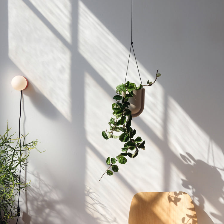 Misewell Portico Planter in a neutral tone, showcasing its modern design and textured surface for indoor or outdoor greenery.