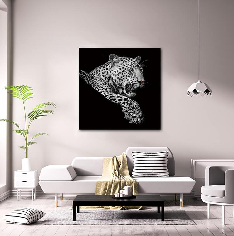 Leopard in Black and White Acrylic Print in US | Amazing Rugs