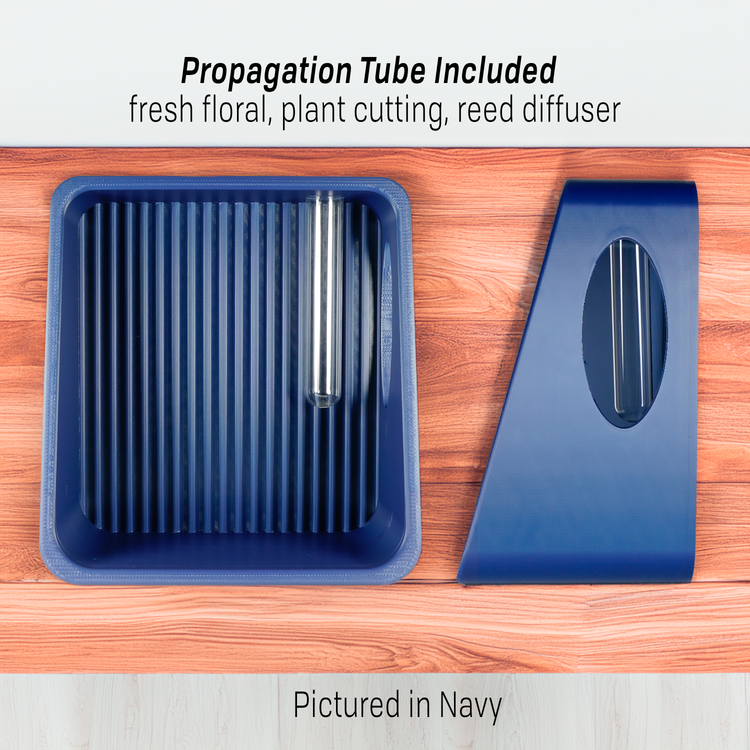 Modern Floating Wall Shelf | Propagation Plant & Reed Diffuser Display Shelf