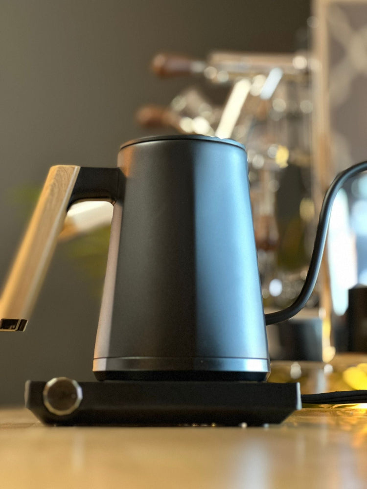 Turin Electric Pour Over Kettle from Espresso Outlet LLC, stainless steel electric kettle with ergonomic handle and digital temperature control.
