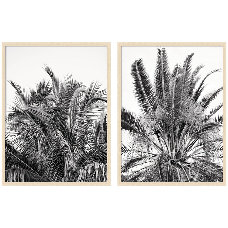 Kateandlaurel Alicia Bock Palm 2-piece framed wall art set featuring botanical illustrations on white backgrounds.