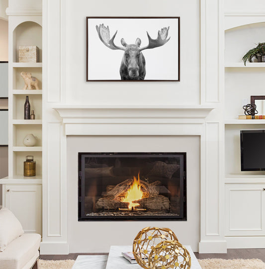 Black and white moose framed canvas wall art by Amy Peterson Art Studio, featuring detailed animal illustration.