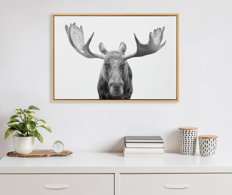 Black and white moose framed canvas wall art by Amy Peterson Art Studio, featuring detailed wildlife imagery for home decor.