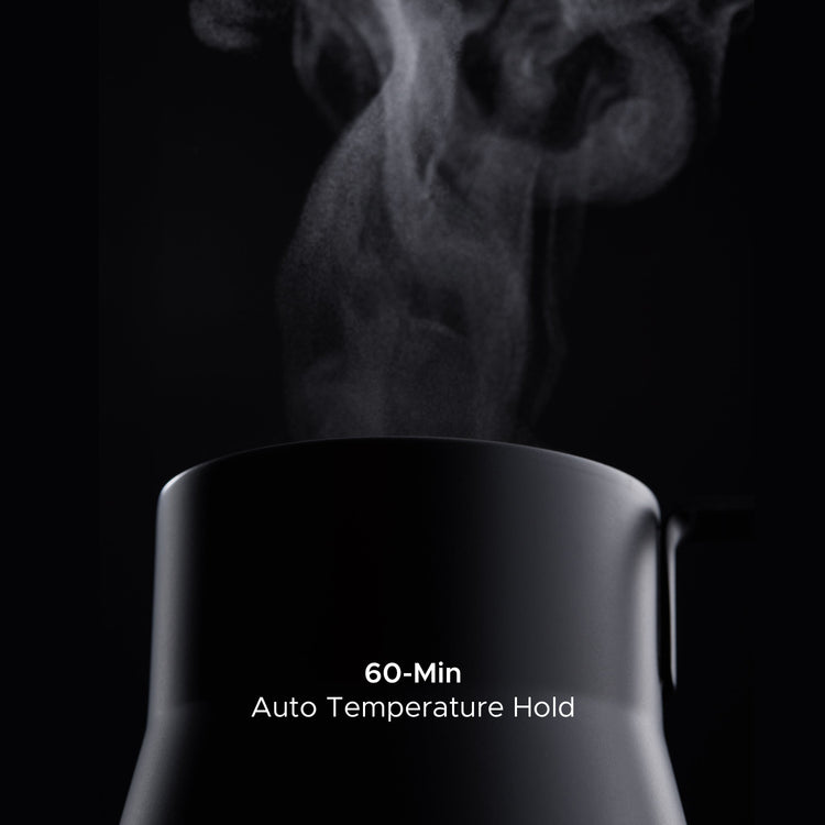 Saki Baristan gooseneck electric kettle with a sleek design, perfect for precise pouring and brewing tea or coffee.