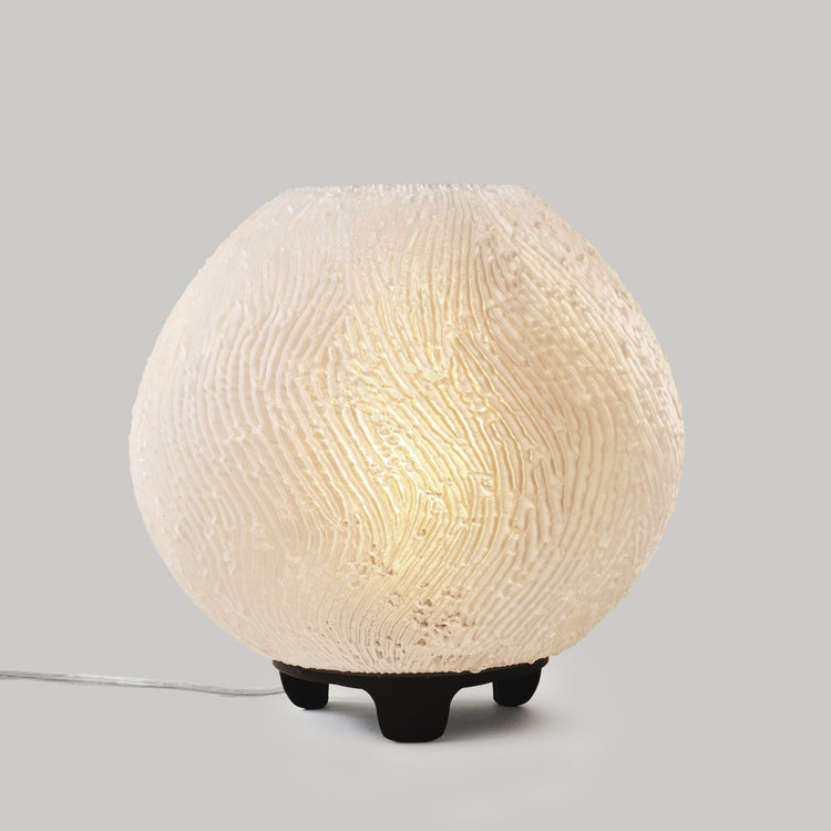Coral Lamp - Modern Home & Kitchen