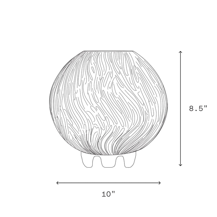 Coral Lamp - Modern Home & Kitchen