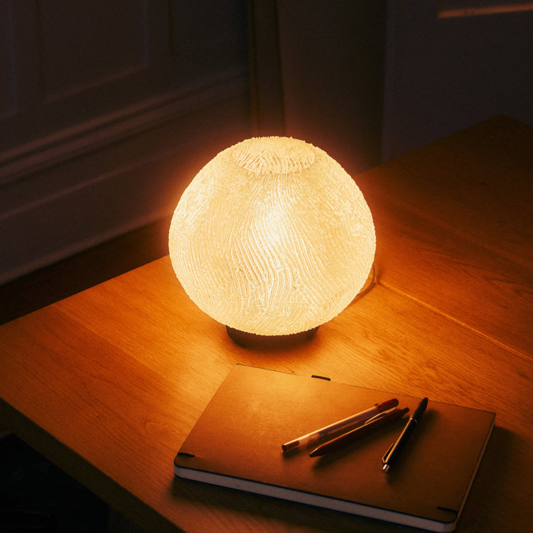 Coral Lamp - Modern Home & Kitchen