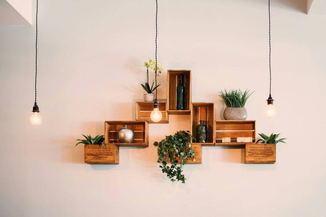 Stylish open wall shelving with wooden crate boxes, potted plants, vintage decor, and hanging Edison bulbs — modern interior design trend for 2025