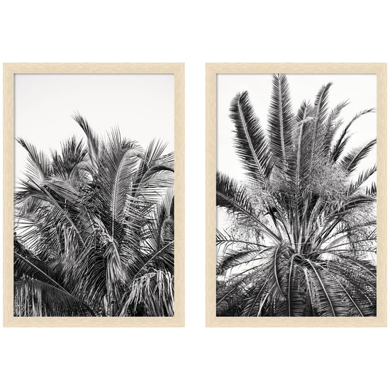 A set of two framed wall art pieces featuring botanical palm designs by kateandlaurel, modern home decor display
