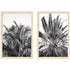 A set of two framed wall art pieces featuring botanical palm designs by kateandlaurel, modern home decor display