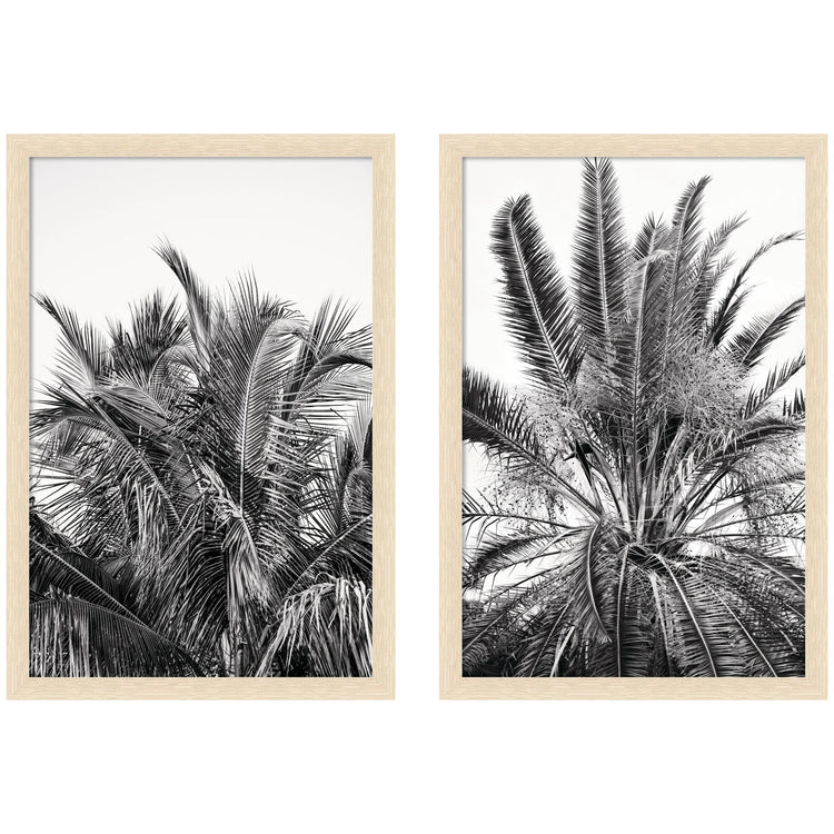 A set of two framed wall art pieces featuring botanical palm designs by kateandlaurel, modern home decor display