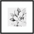Modern succulent framed wall art by kateandlaurel, botanical decor featuring printed art with vibrant green succulents in a stylish frame.