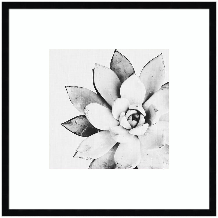 Modern succulent framed wall art by kateandlaurel, botanical decor featuring printed art with vibrant green succulents in a stylish frame.