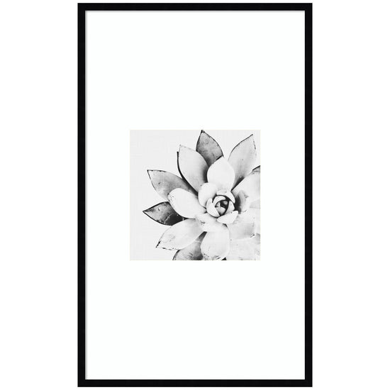 Modern succulent framed wall art by kateandlaurel, botanical decor print featuring vibrant green succulents in a sleek frame.