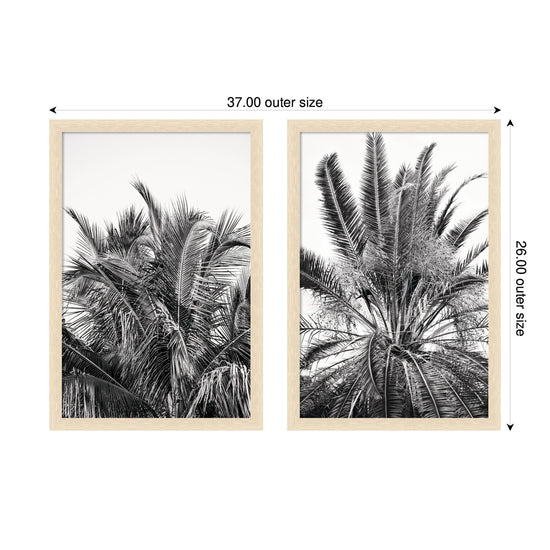 Two framed wall art pieces from the Alicia Bock Palm 2-Piece Wall Art Set by kateandlaurel, featuring botanical palm designs.
