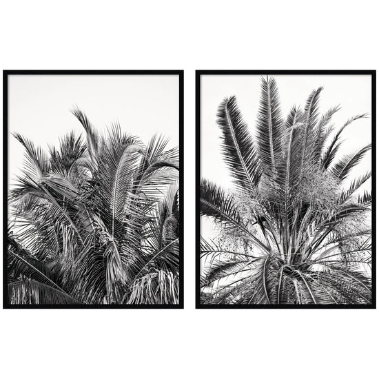 Two framed wall art pieces from the Alicia Bock Palm 2-Piece set by kateandlaurel, featuring botanical palm leaf designs.