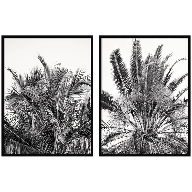 Two framed wall art pieces from the Alicia Bock Palm 2-Piece set by kateandlaurel, featuring botanical palm leaf designs.