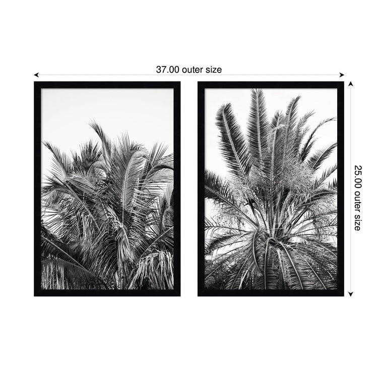 Alicia Bock Palm 2-piece framed wall art set featuring botanical prints in black frames for home decor.