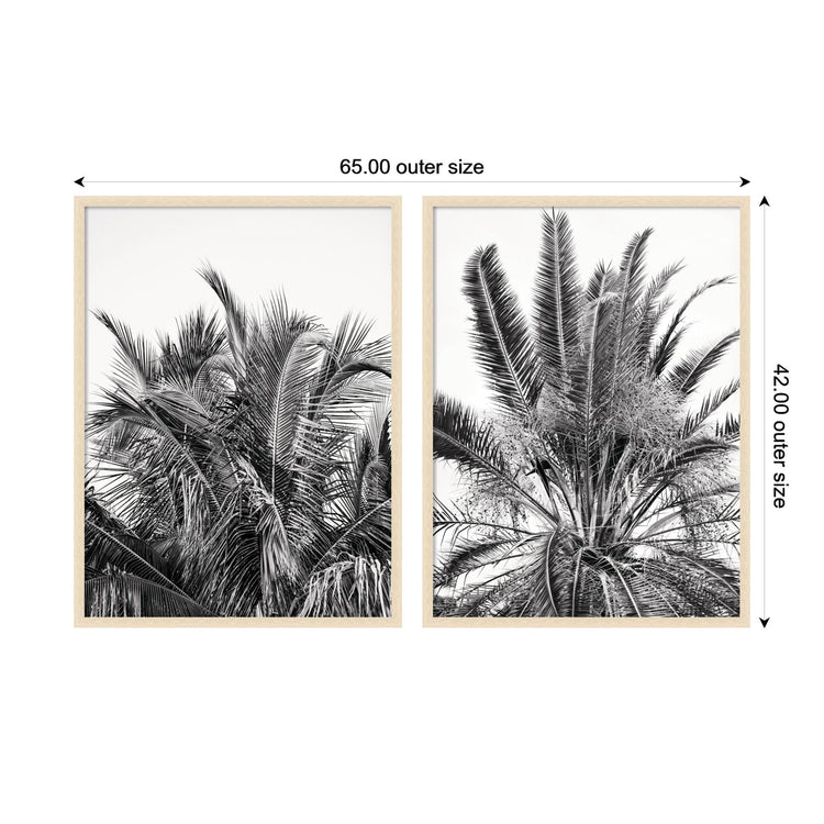 Kate & Laurel Alicia Bock Palm 2-piece framed wall art set featuring botanical illustrations on cream backgrounds.