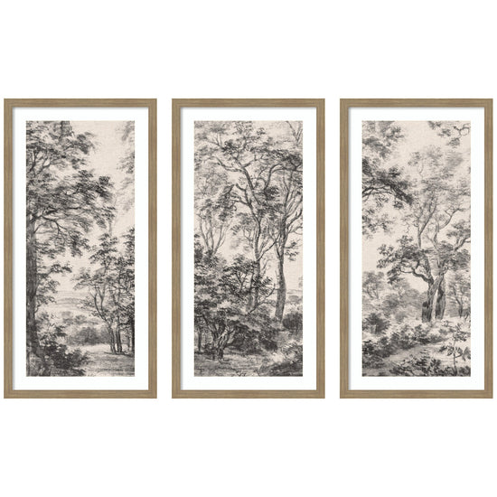 Set of three framed wall art prints featuring Waterloo landscape scenes by kateandlaurel, ideal for home decor.