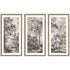 Set of three framed wall art prints featuring Waterloo landscape scenes by kateandlaurel, ideal for home decor.