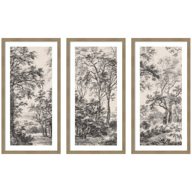 Set of three framed wall art prints featuring Waterloo landscape scenes by kateandlaurel, ideal for home decor.