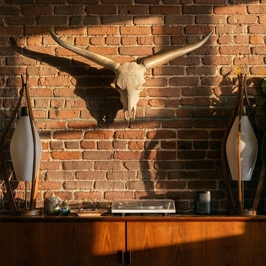 Lightweight faux steer skull and bull horns wall decor by Active Doodie Gear®, featuring Western Southwest style in two sizes.
