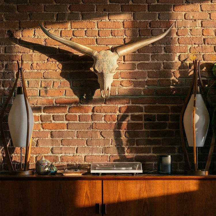 Lightweight faux steer skull and bull horns wall decor by Active Doodie Gear®, featuring Western Southwest style in two sizes.
