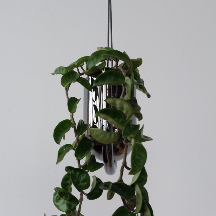 Misewell chrome Portico planter with sleek, modern design, ideal for indoor or outdoor use in pots and planters collection.