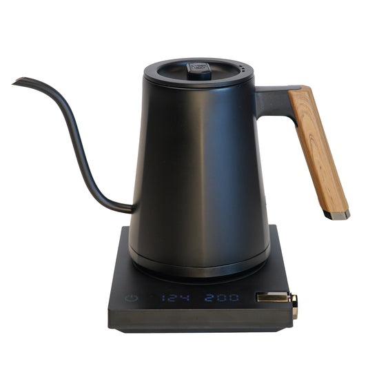 Turin Electric Pour Over Kettle by Espresso Outlet LLC, stainless steel electric kettle with a sleek handle and spout for precise pouring.