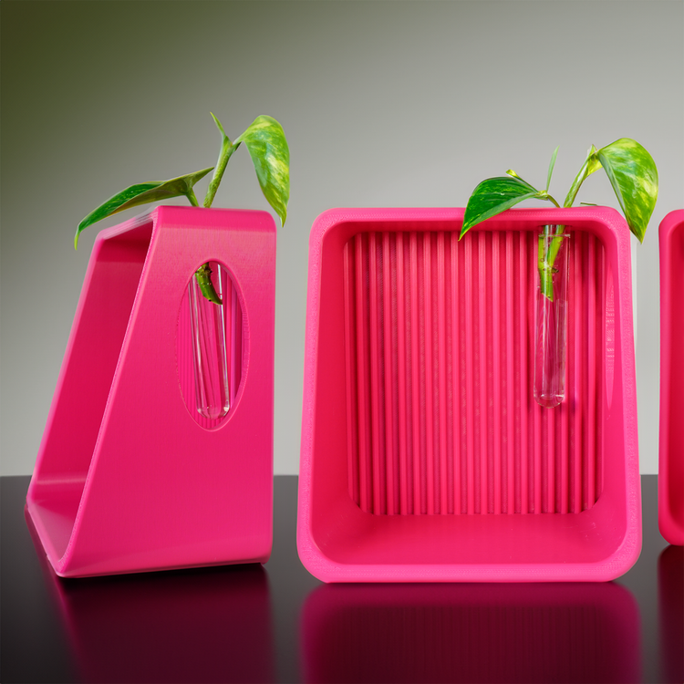 Modern Floating Wall Shelf | Propagation Plant & Reed Diffuser Display Shelf