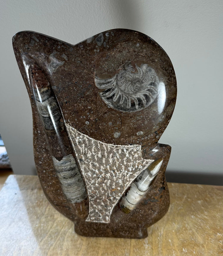 Ammonite Fossils in Matrix Sculpture