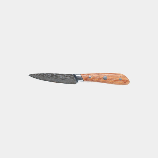 Swiss Diamond 4-inch Damascus paring knife with a sharp, detailed Damascus steel blade and ergonomic handle for precision cutting.