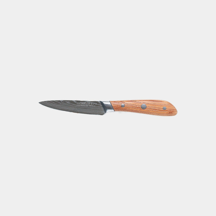 Swiss Diamond 4-inch Damascus paring knife with a sharp, detailed Damascus steel blade and ergonomic handle for precision cutting.