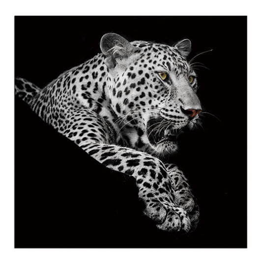 Leopard in Black and White Acrylic Print in US | Amazing Rugs