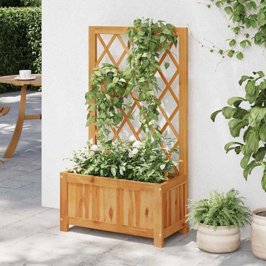 Wooden planter with climbing plants against a white wall outdoors