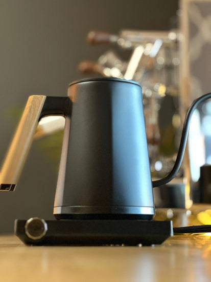 Turin Electric Pour Over Kettle from Espresso Outlet LLC, stainless steel electric kettle with ergonomic handle and digital temperature control.
