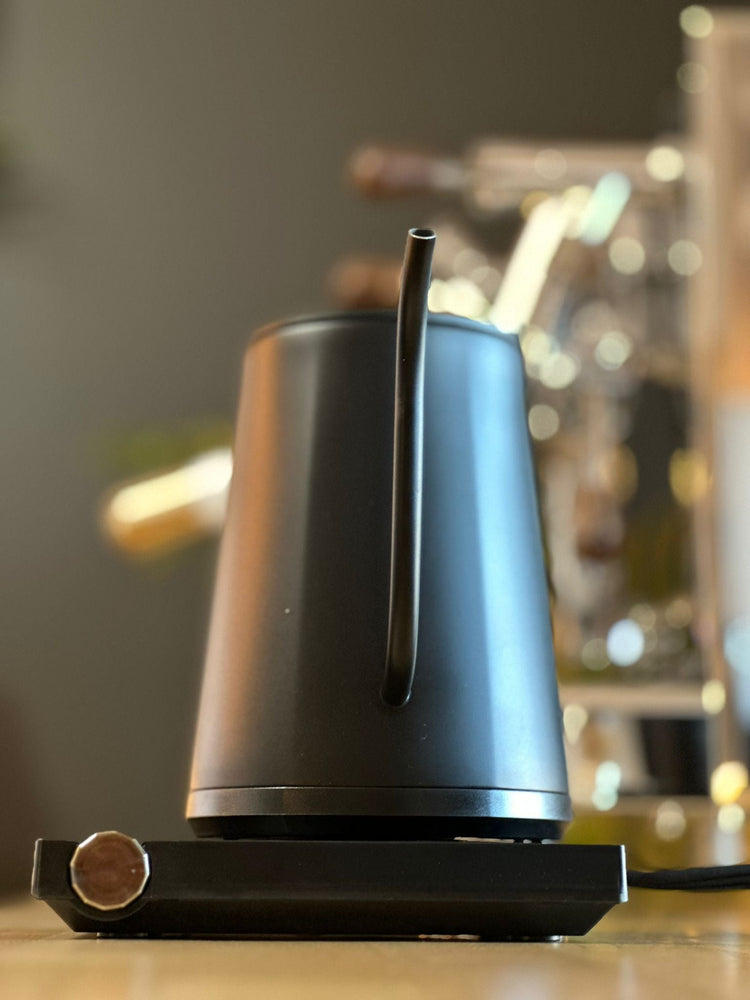 Turin Electric Pour Over Kettle by Espresso Outlet LLC, stainless steel electric kettle with digital display and ergonomic handle.