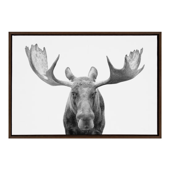 Black and white moose framed canvas wall art by Amy Peterson Art Studio, featuring detailed wildlife illustration.