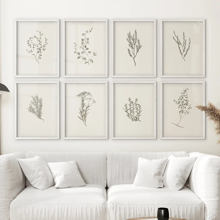 Set of 8 minimalist herb botanical prints by Print Sets in white frames, ideal for floral art decor in living rooms.