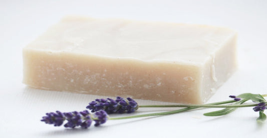 Bar of soap with lavender flowers on a white background