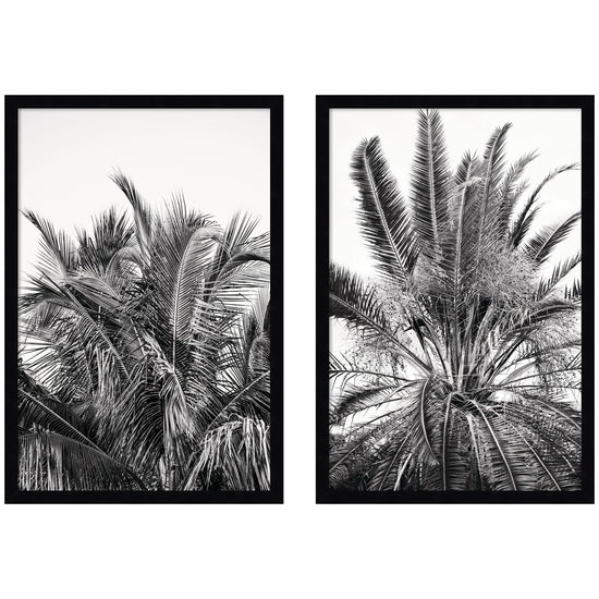 Kate and Laurel Alicia Bock Palm 2-Piece Framed Wall Art Set featuring botanical illustrations on white backgrounds.